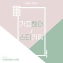 헤어쇼앤위그 이미지