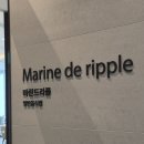 마린드리플 네이버블로그