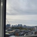 카페 다포딜
