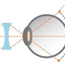 연세성모의원 이미지