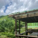 카페레오나 이미지