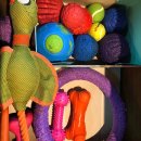 펫그라운드_해방촌 이미지