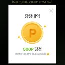 영포인트
