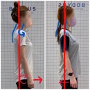 바디어스 필라테스 앤 헬스 센텀 2호점 | [센텀필라테스/센텀PT] 바디어스 혜지쌤의 비포에프터 모음집 / B&amp;A 모음집