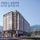 더제이원 이미지