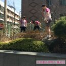 미남스포렉스 이미지