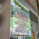 목단강양갈비