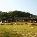장성3길 Daum카페