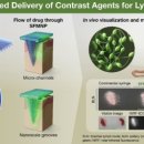 재단법인아산사회복지재단 서울아산병원 이미지