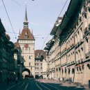 장미길코스 이미지