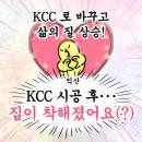 익산그린에너지1호 | 익산 KCC창호 교체 후기｜알루미늄 샷시 교체 후 달라진 생활 환경