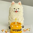 이야(YIYA) 이미지