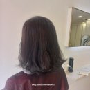 블레스헤어(blesshair) | 송파동 미용실 '블레스 헤어' 방문 후기(feat. 머리 잘하는곳, 뿌리염색 추천)