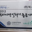 (주)픽슨