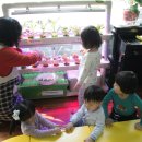 아름다운어린이집 이미지