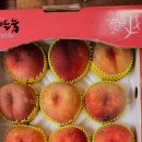 영덕싱싱농원 이미지