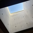 본태박물관 | 제주도 서귀포 본태박물관 후기 + 할인꿀팁 : 피카소, 달리, 백남준, 앤디 워홀, 쿠사마 야요이 작품...