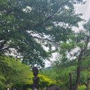 무주홀리데이파크 | 무주홀리데이파크 계곡 물놀이 후기 | 사람 없고 조용한 여름 계곡 나들이 추천
