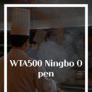 월드테니스 | ​WTA500 Ningbo Open