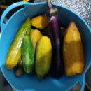 30여년지기 부부모임 이미지