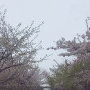 빨간라면노란라면 이미지