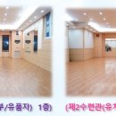 한국체대 봄 태권도장 이미지