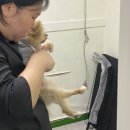 빛고을용품 이미지