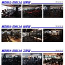 베리타스피트니스화서점 이미지