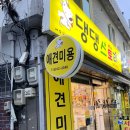 댕댕스토리 이미지