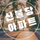 얼룩빼기이박사천안불당점 | 신불당 아파트 파크푸르지오 직접 가보니 전세.매매 가격의 이유를..
