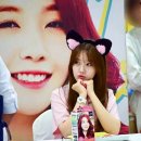 빵냥빵냥