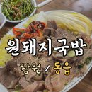 동읍869 | 창원 동읍 맛집 [원돼지국밥] _ 솔직후기