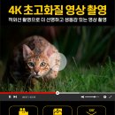 4K 적외선 감시카메라로 야간도 완벽하게! 올빼미카메라 직접 사용후기 - 보안토피아