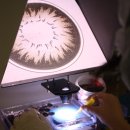 메디칼 지오 이미지