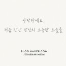 더노아하우스 이미지