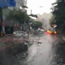 서호동-36 이미지