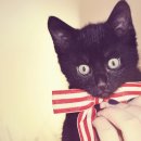 사랑애완동물병원 이미지