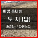 풍녹지 네이버블로그
