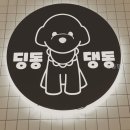 딩동댕동 강아지 훈련 효과, 직접 경험해봤어요
