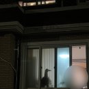 제비낭민박 이미지