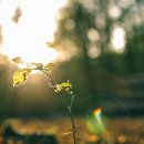 진성한의원 이미지