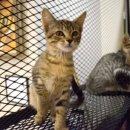 (주)인사이트미디어 이미지