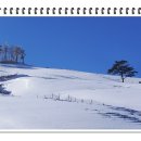 1월 3일 월요일- 눈꽃산행 그리고 귀한약초- 이미지