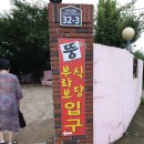 뚱부라보 식당 | 포항 맛집!!! <뚱 부라보 식당>