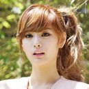 허벌다이어트 - 안양시 동안구 | 허벌다이어트