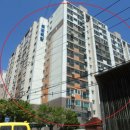 국제백양 이미지