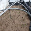 신흥1농장 이미지