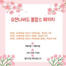 오션나비드풀빌라 이미지