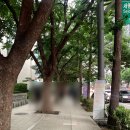 엘스테이 - 영도구 동삼오션로 58 | 종각 | 종로 수제버거 맛집 릴버거 엘 타코 버거 후기