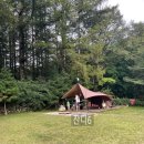 평창 두부마을 | 평창 휘게포레스트 배치도 잔디존 B존 (봉평메밀미가연, 평창 두부메밀촌)